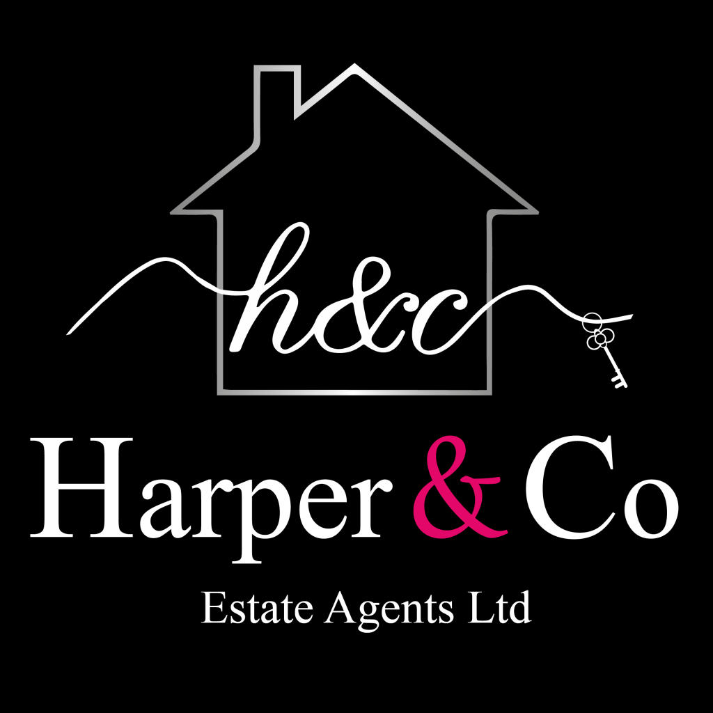 banner logo