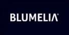 Blumelia Real Estate, Blumelia Real Estate Estate Agent Logo