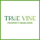 Dears Developer Ltd, Paphos Estate Agent Logo
