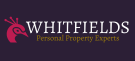 banner logo