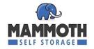 Mammoth Self Storage logo