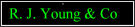 R J Young & Company logo