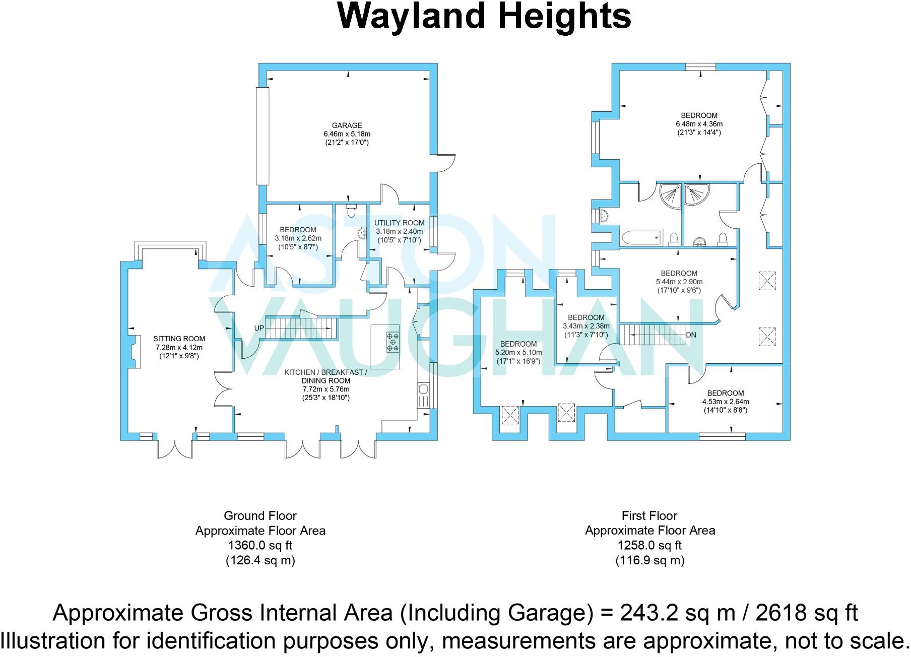 Wayland Heights, Brighton floorplan