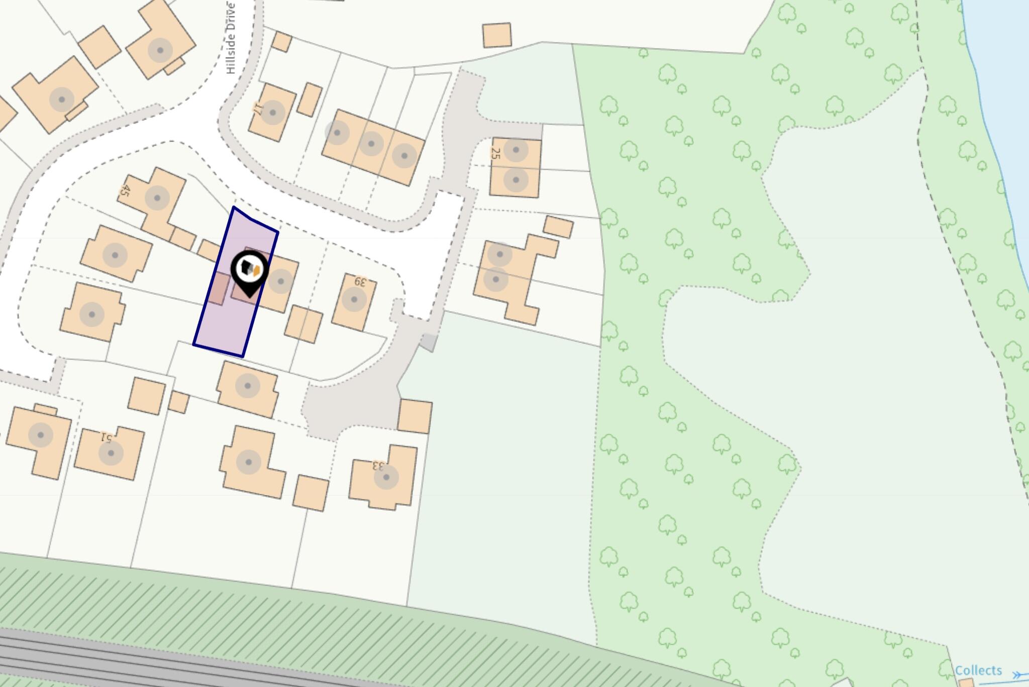 Hillside Drive, Belvidere Park, SY2 floorplan