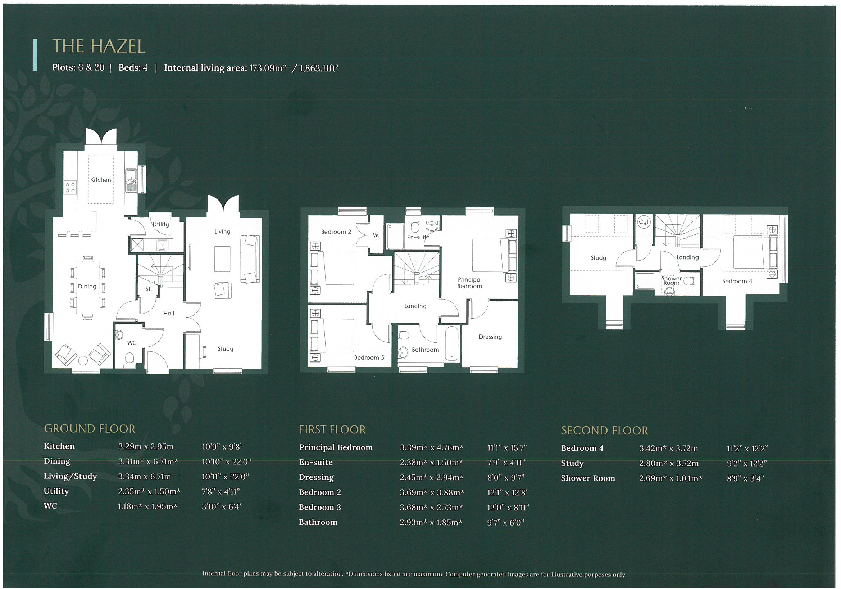 Plots 20 The Hazel, Bluebell Meadows, Woodhouses Village, Failsworth floorplan