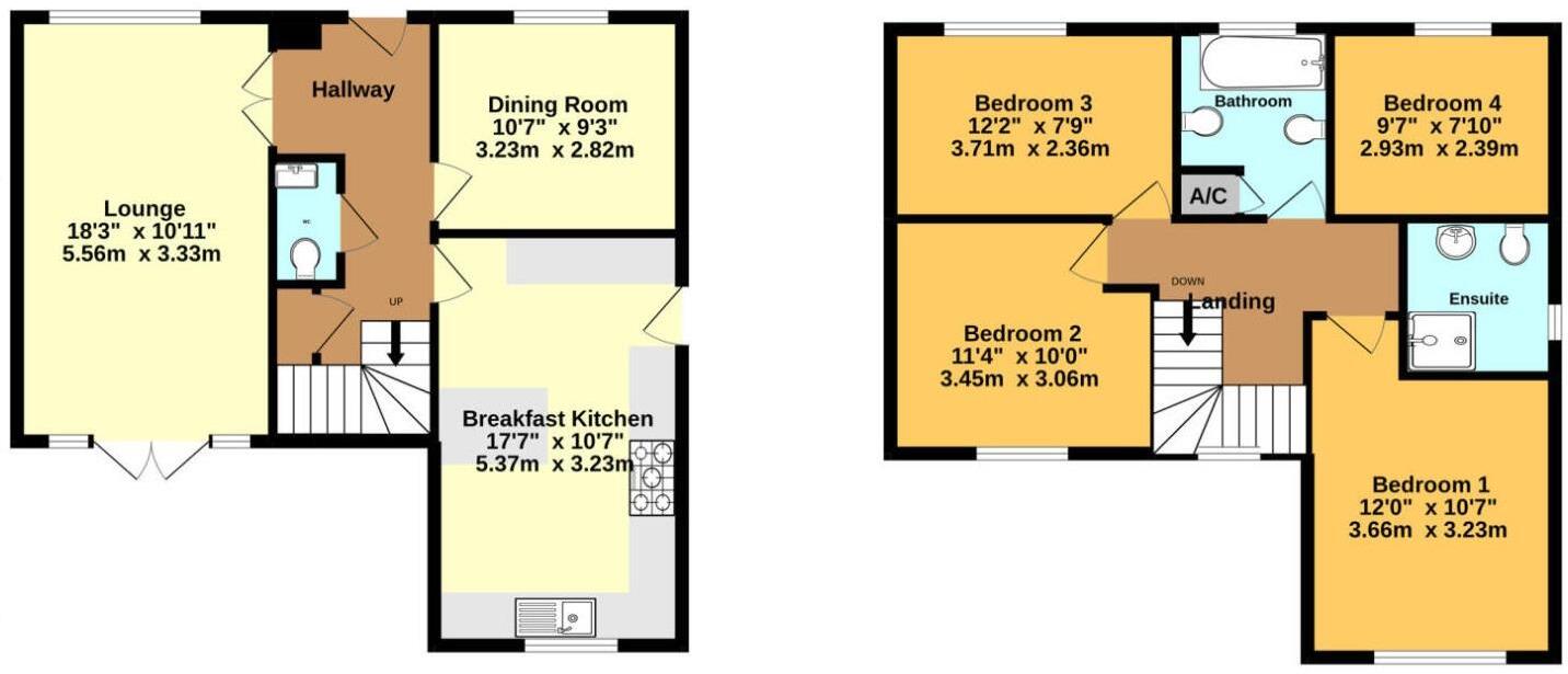 Rye Hill Drive, Sapcote floorplan