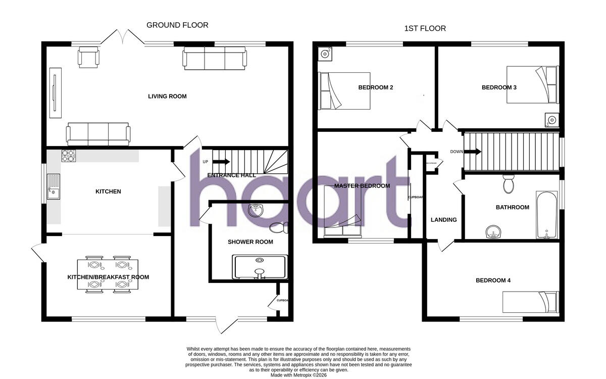 Canons Close, Thetford floorplan
