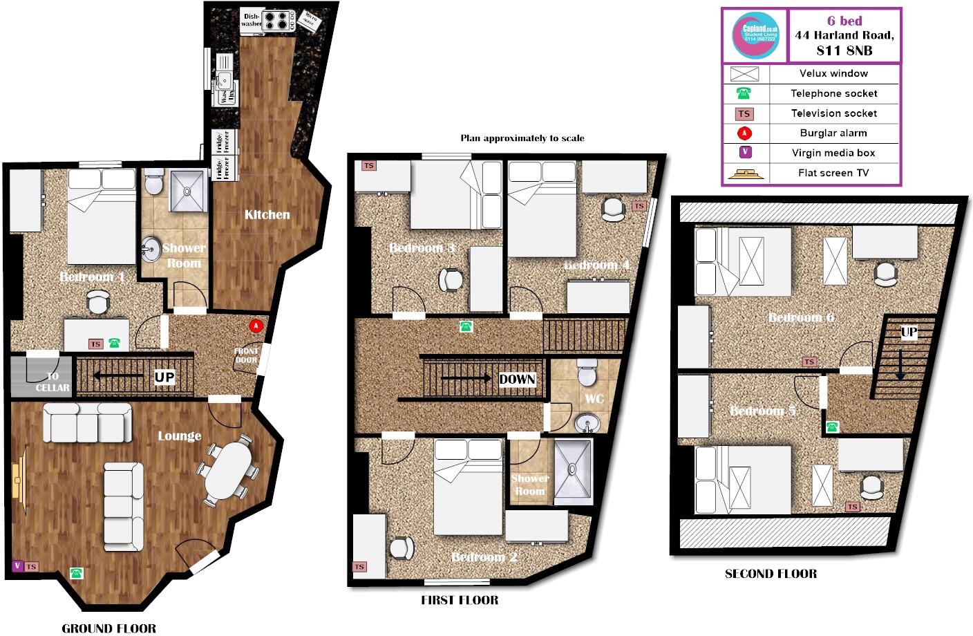 44 Harland Road - STUDENT HOUSE floorplan