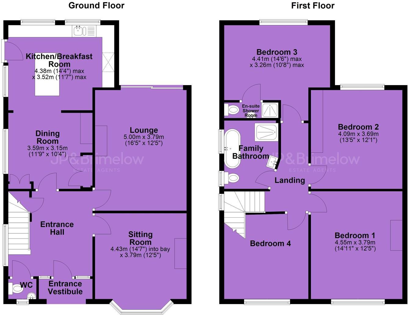 South Drive, Chorltonville floorplan