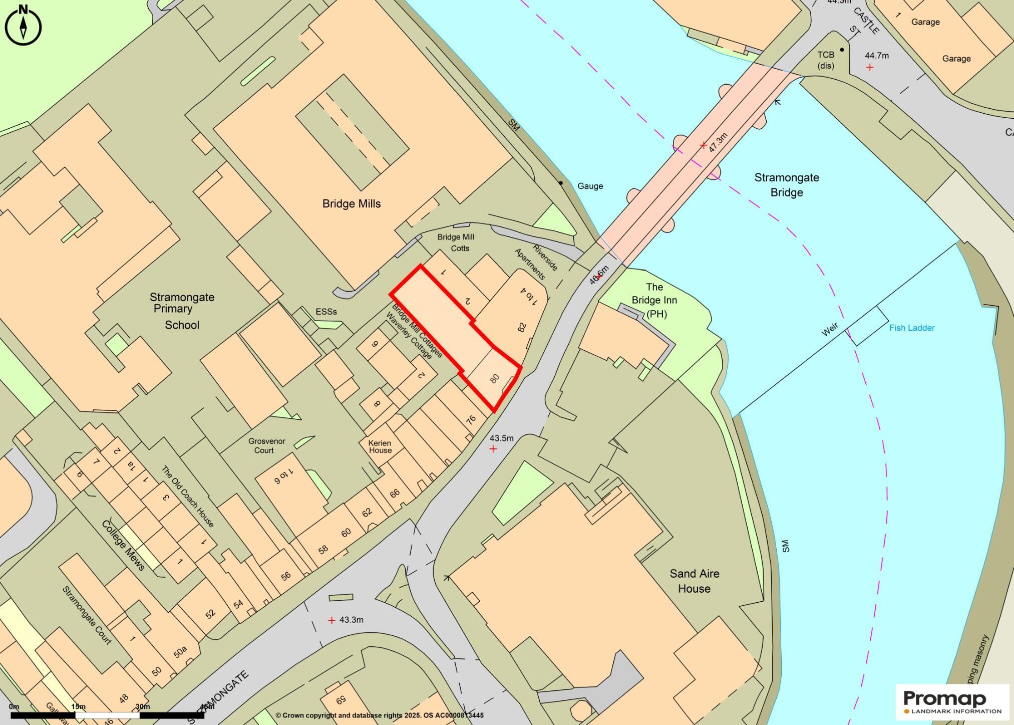 Site Plan 