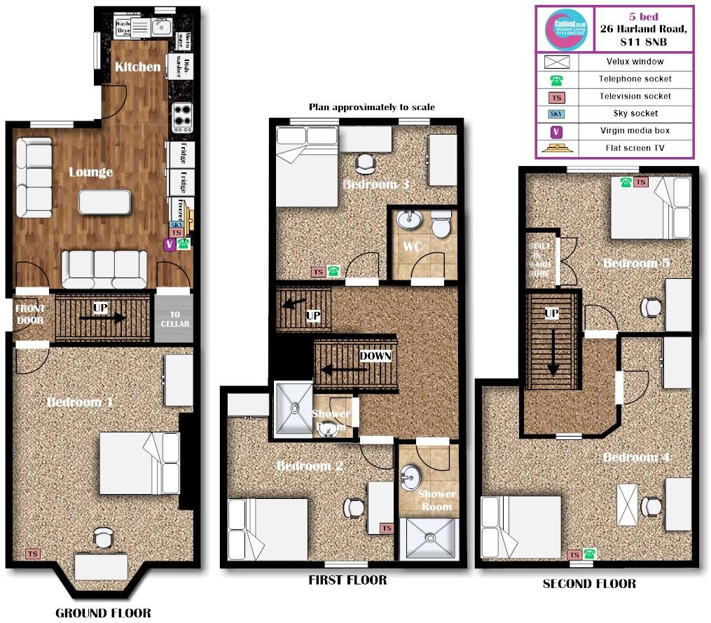 26 Harland Road, S11 8NB - STUDENT HOUSE - 2 Shower rooms, 1 toilet floorplan