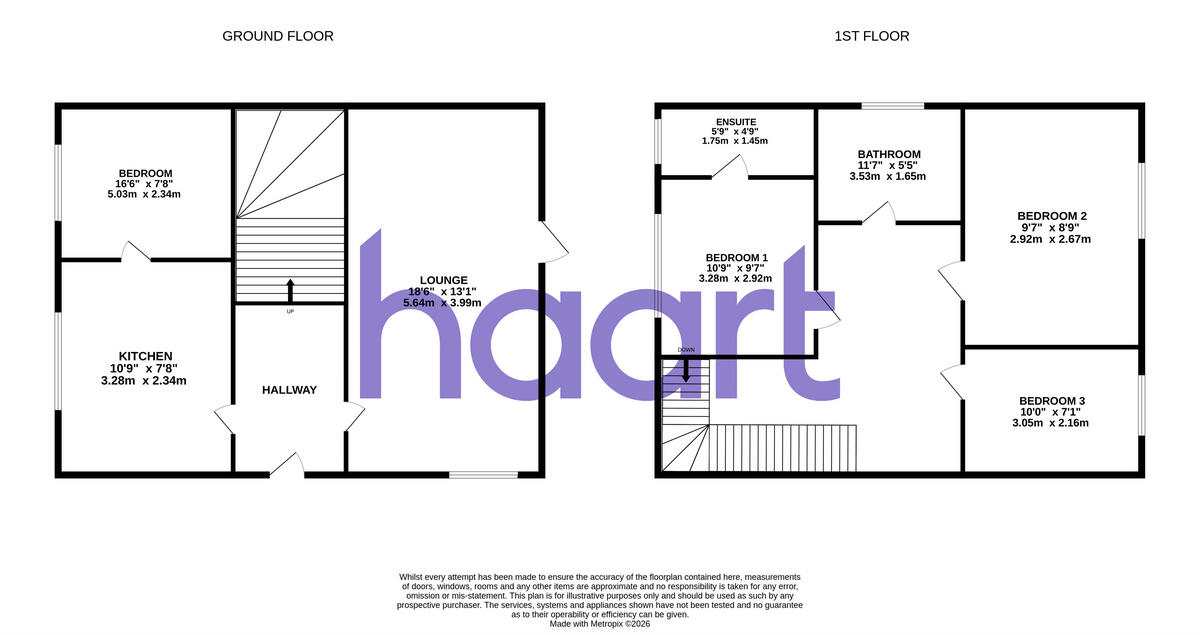 Lime Walk, Chelmsford floorplan