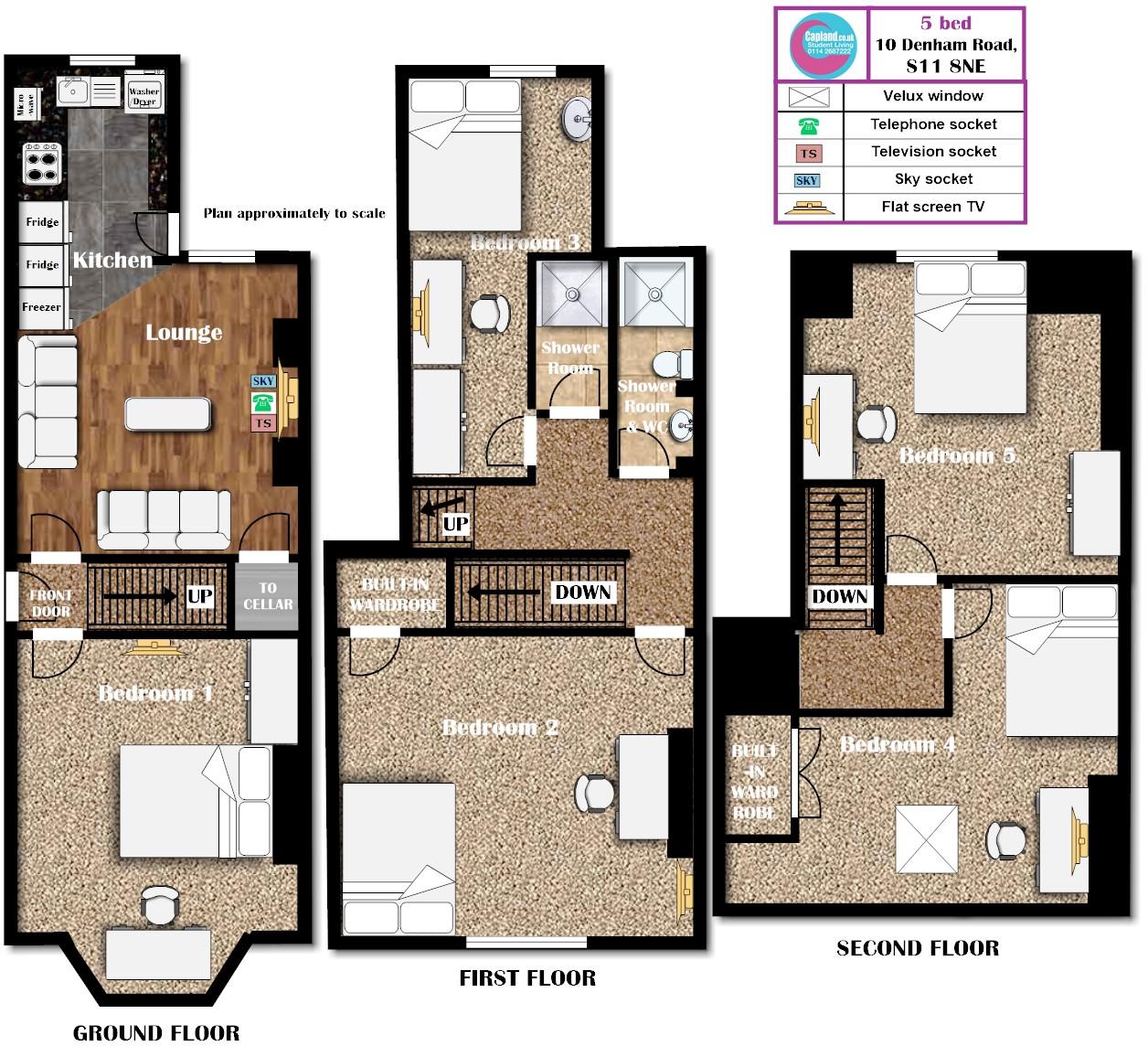 10 Denham Road - STUDENT HOUSE- 01/07/26 until 27/06/27 floorplan