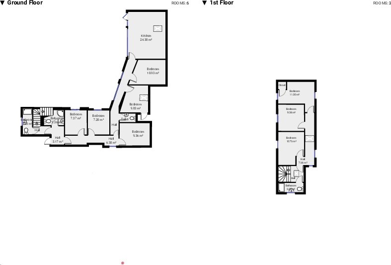 Meadow Lane, Loughborough floorplan
