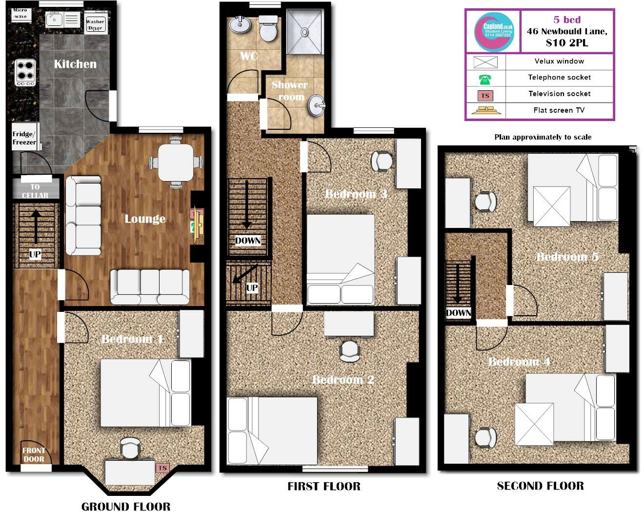 46 Newbould Lane, S10 2PL- STUDENT HOUSE- Broomhill  floorplan