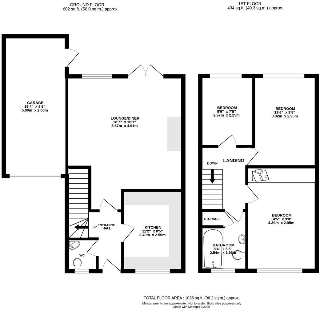 Linden Rise, Warley, Brentwood floorplan