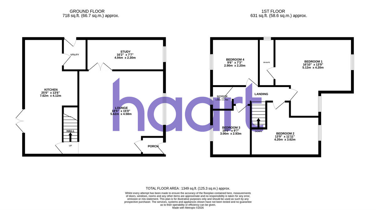 Bouchers Mead, Chelmsford floorplan