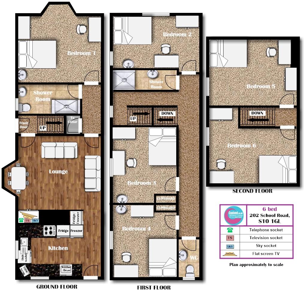 202 School Road, S10 1GL - STUDENT HOUSE- Crookesmoor floorplan