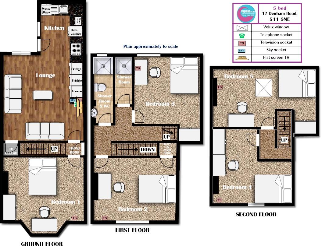17 Denham Road - STUDENT HOUSE- From 01/07/26 until 27/06/27 floorplan