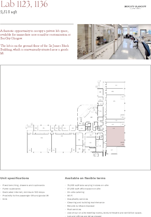 Building 31 Labs - Brochure - BioCity Glasgow - Pioneer