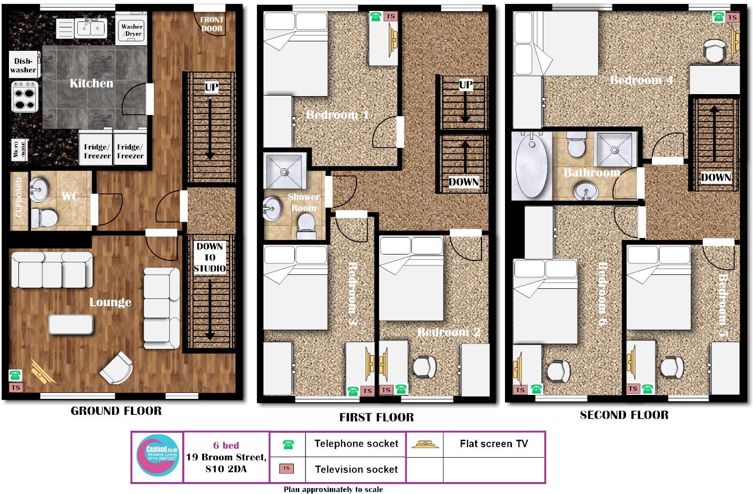 19 Broom Street - STUDENT HOUSE-   floorplan