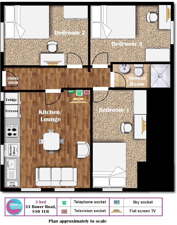 33 BOWER ROAD - STUDENT PROPERTY- Crookesmoor  floorplan
