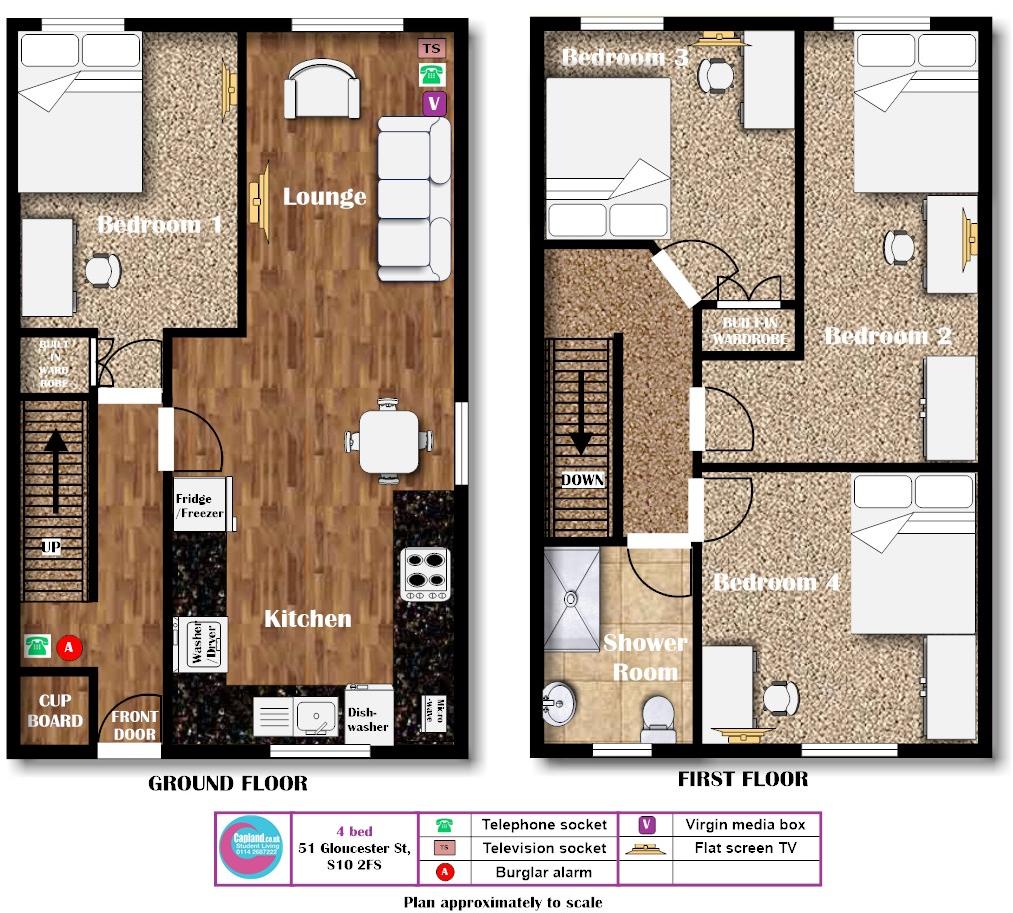 51 GLOUCESTER STREET - STUDENT HOUSE-  floorplan