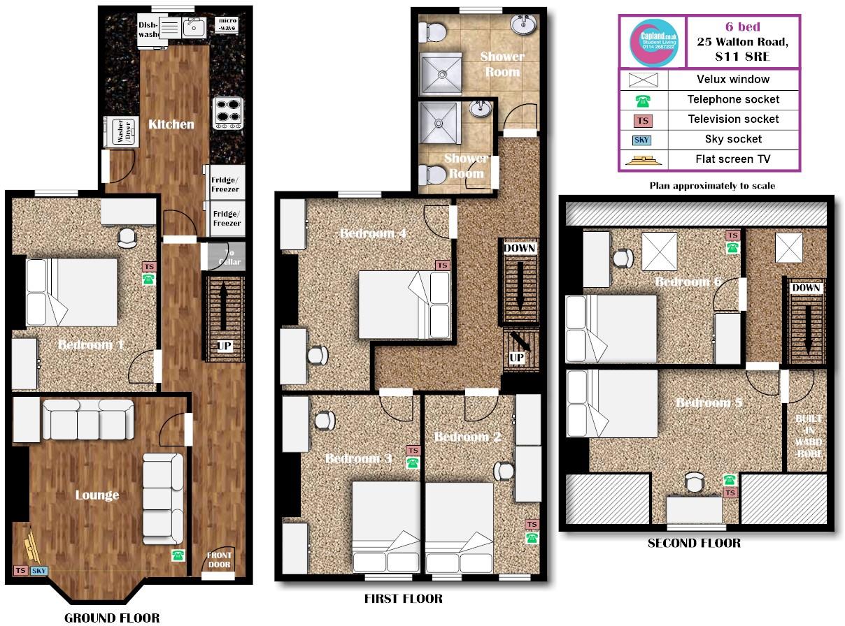 25 Walton Road, S11 8RE - STUDENT HOUSE- Ecclesall Road Area  floorplan