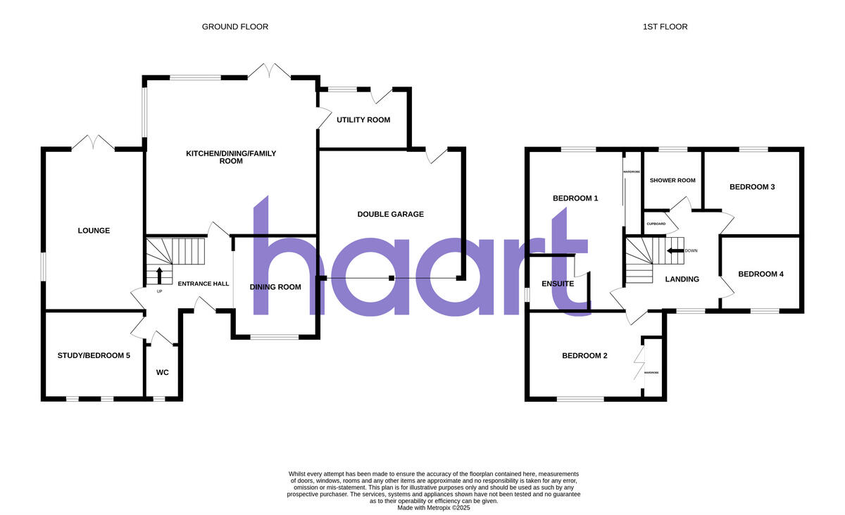 Brand Drive, Langenhoe floorplan