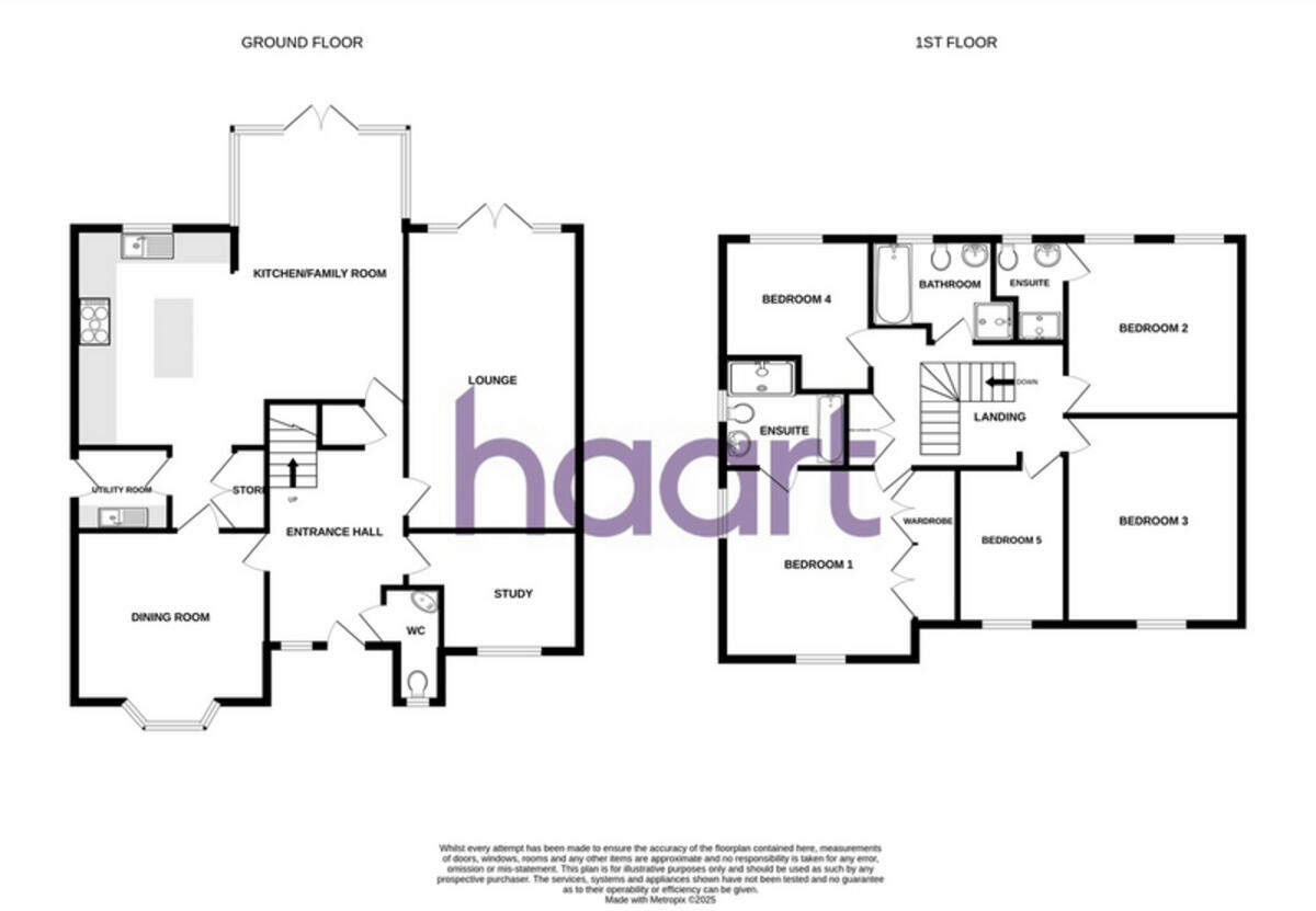 Taylors Lane, Norwich floorplan