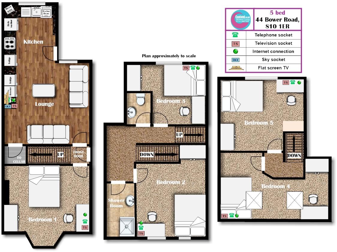 44 Bower Road, S10 1ER- STUDENT HOUSE- Crookesmoor floorplan