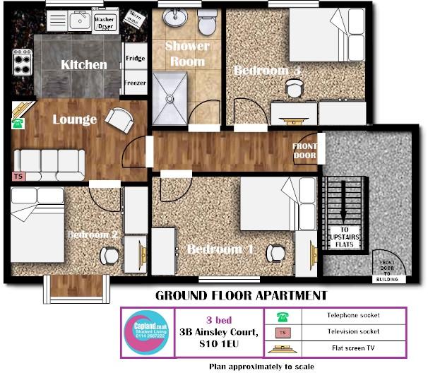 3B Ainsley Court - STUDENT PROPERTY-  floorplan