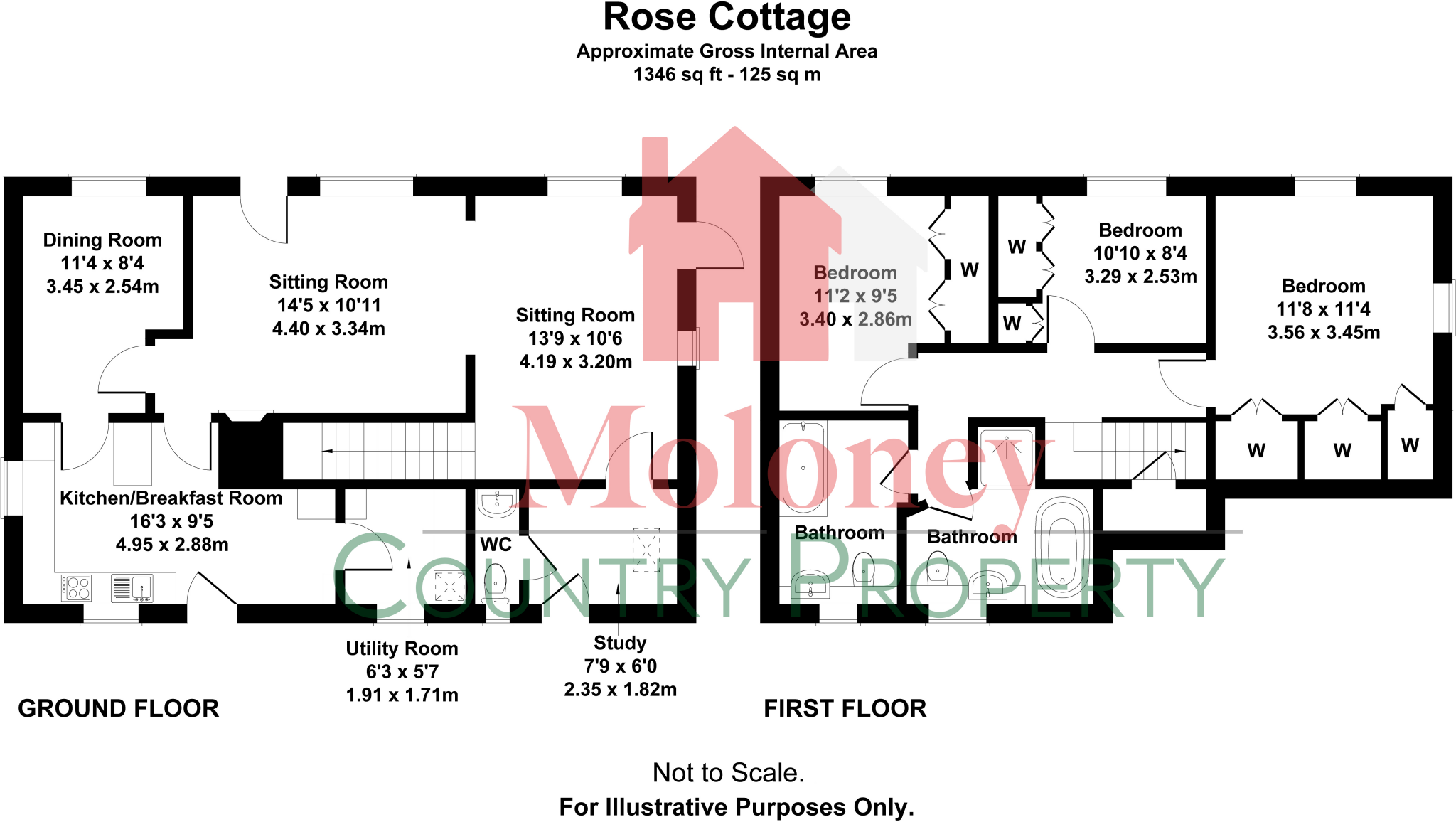 Northiam, East Sussex TN31 floorplan