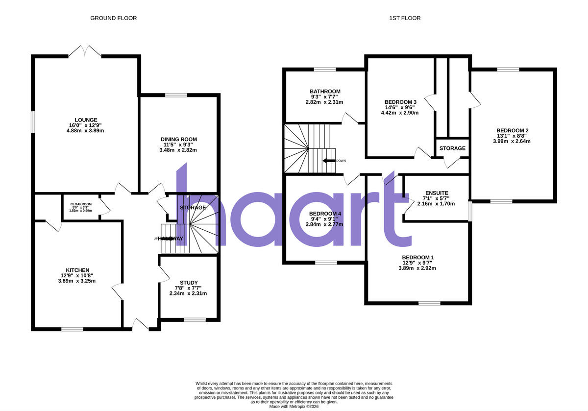 Main Road, Chelmsford floorplan