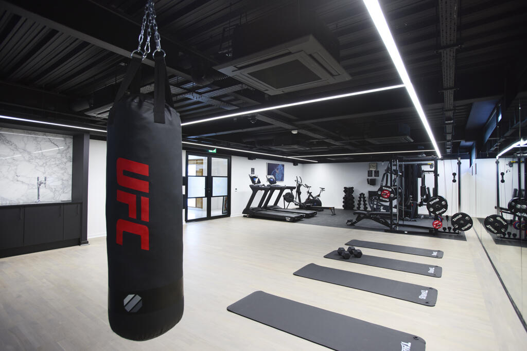 Fitness Suite WP