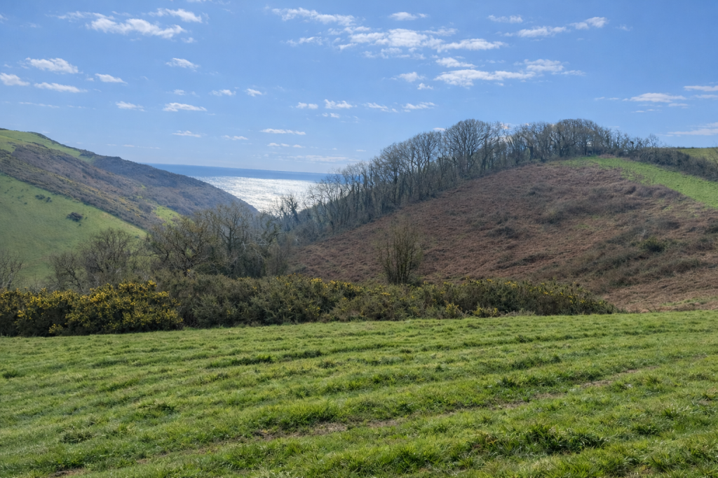 Main image of property: South Allington, Kingsbridge
