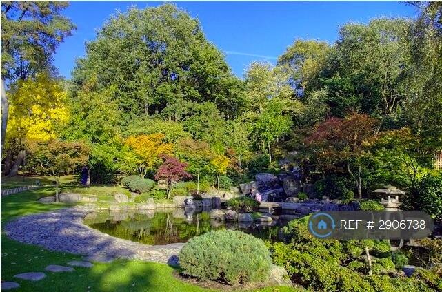 1 bedroom penthouse for rent