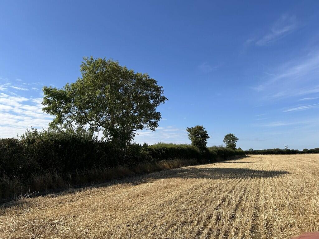 Clopton Road, Old Weston - View 5