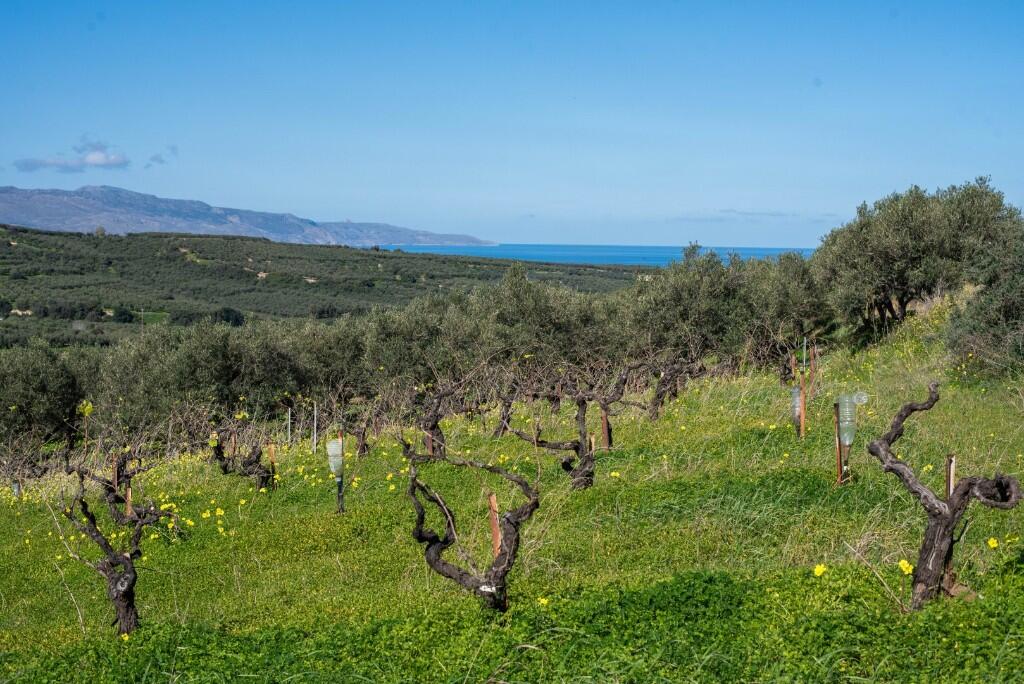 Main image of property: Xamoudochori, Chania, Crete