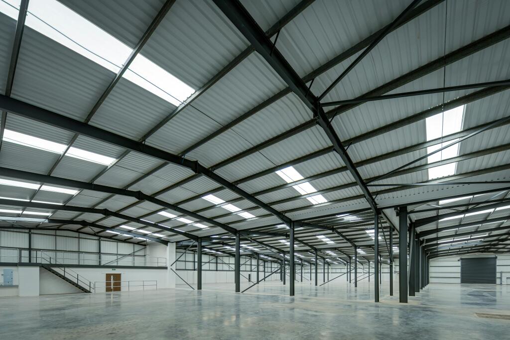 hortons_sinfin_0028.jpg