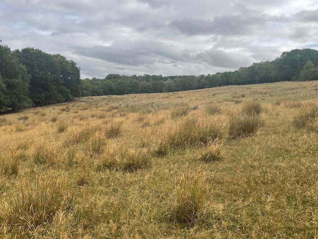 Part of Wood Farm & Werngounsel Farm, Penbidwal Lane, Pandy, Abergavenny, NP7 photo 5