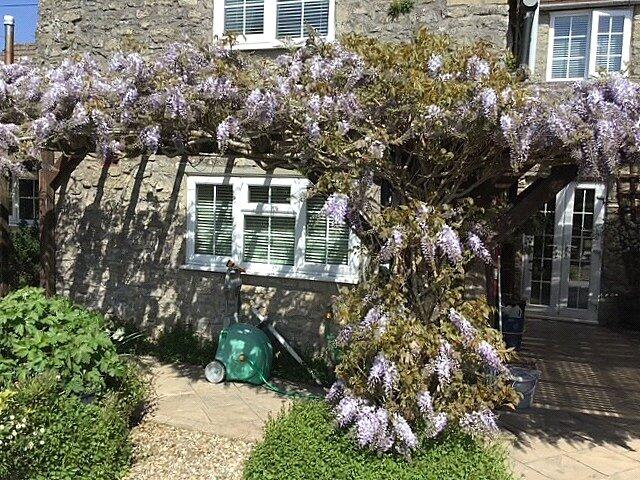 Additional image 20 of Stoney Stratton, Somerset, BA4