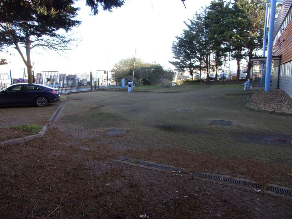 Photo 11
