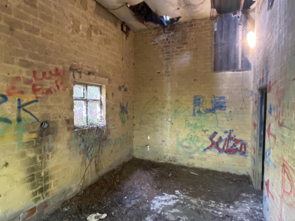 IMG_1134.JPEG
