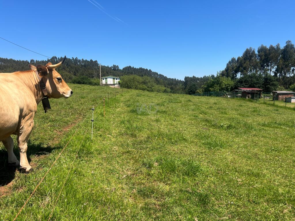 Main image of property: Asturias