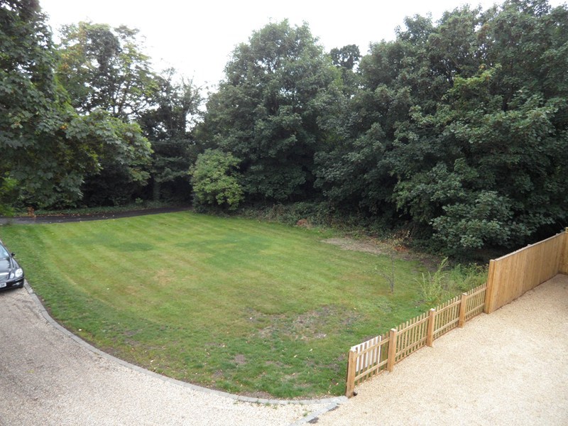 Photo of the property