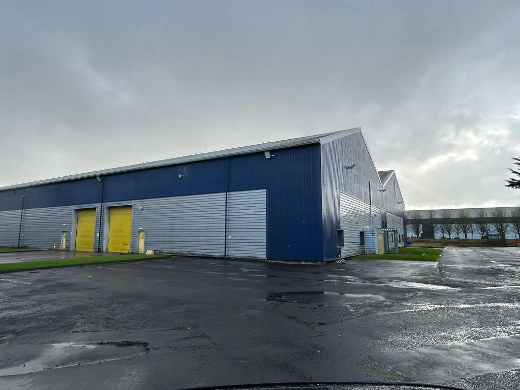 KSNG5433.JPG