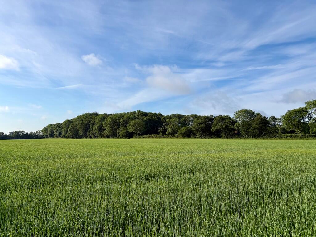 Main image of property: Arable Land At Wissett (Lot 2), Lodge Lane, Wissett, Halesworth, Suffolk, IP19 0JQ