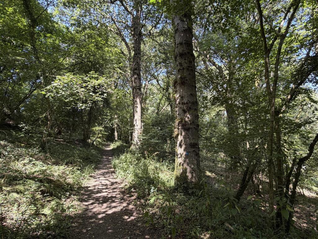 Main image of property: Chittlehamholt