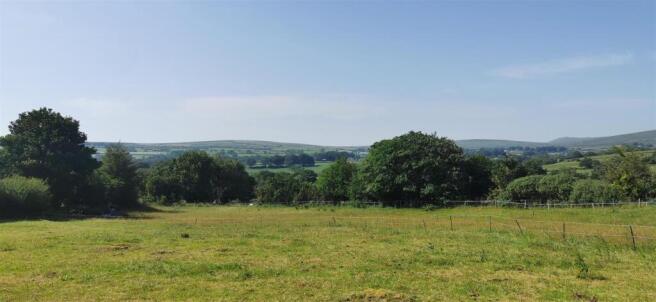 Lower Paddock